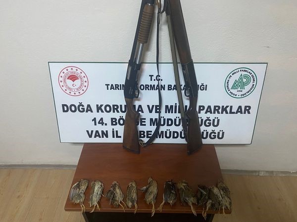 Van’da kaçak Bıldırcın avlayanlara 98 bin 106 lira ceza uygulandı