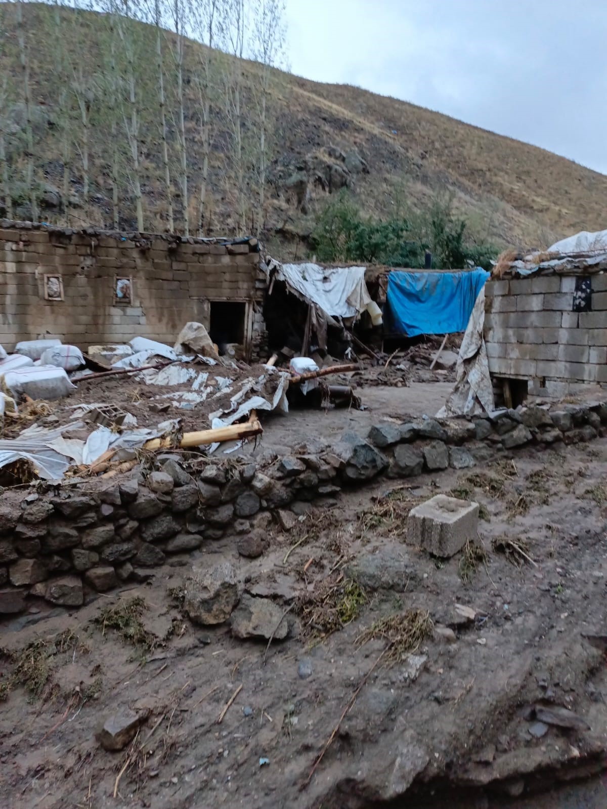 Van’da sağanak sele neden oldu