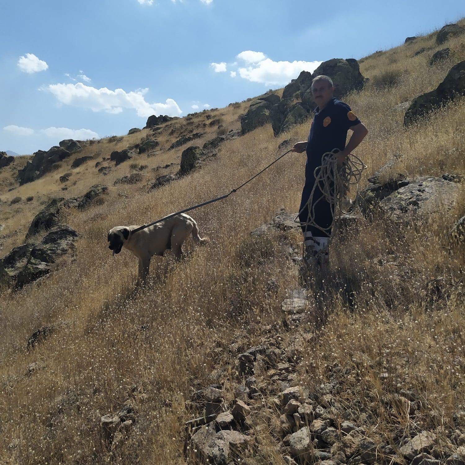 Kayalıklarda mahsur kalan köpek kurtarıldı