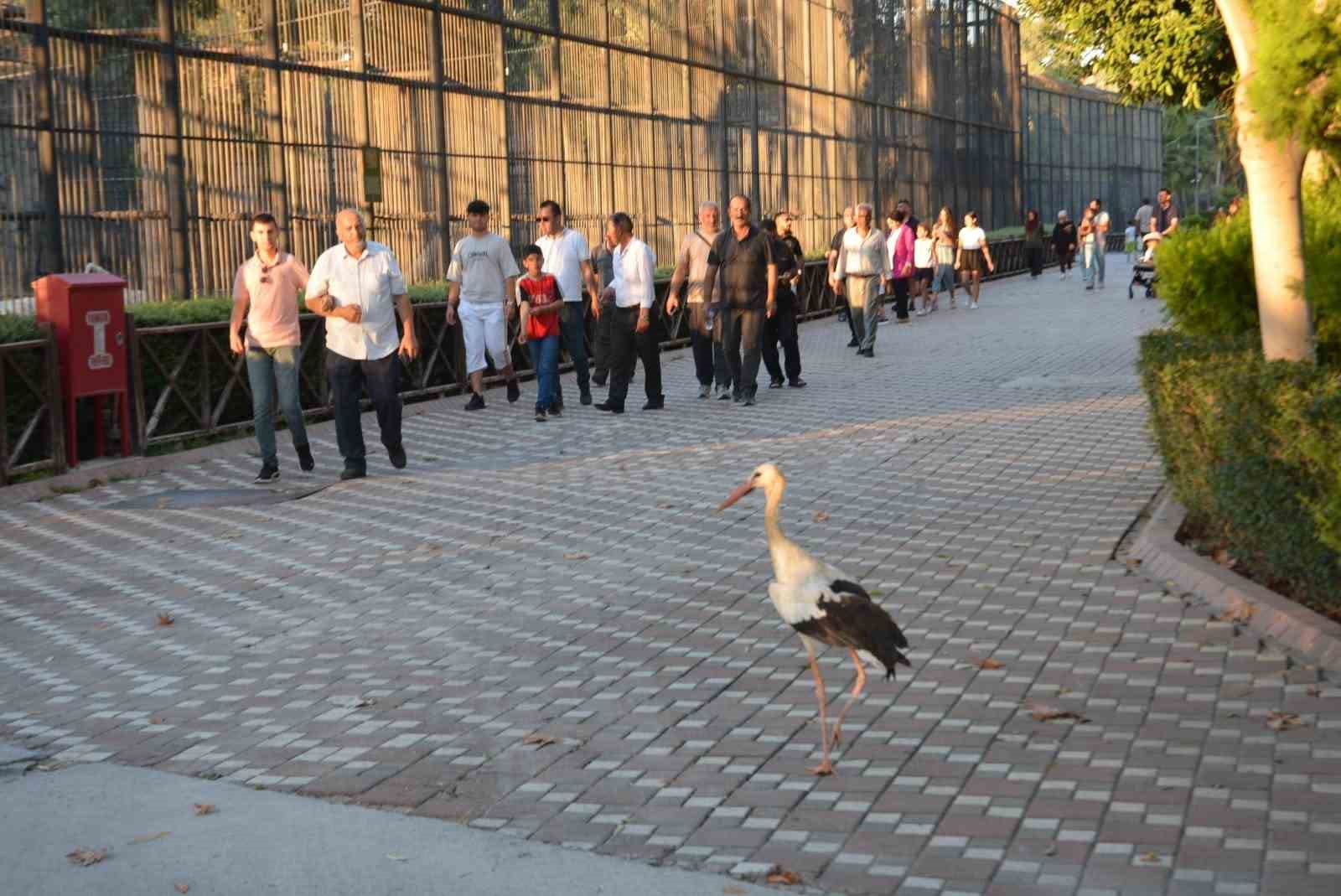 Vanlı şehit ve gazi aileleri için Ankara ve Mersin’e gezi