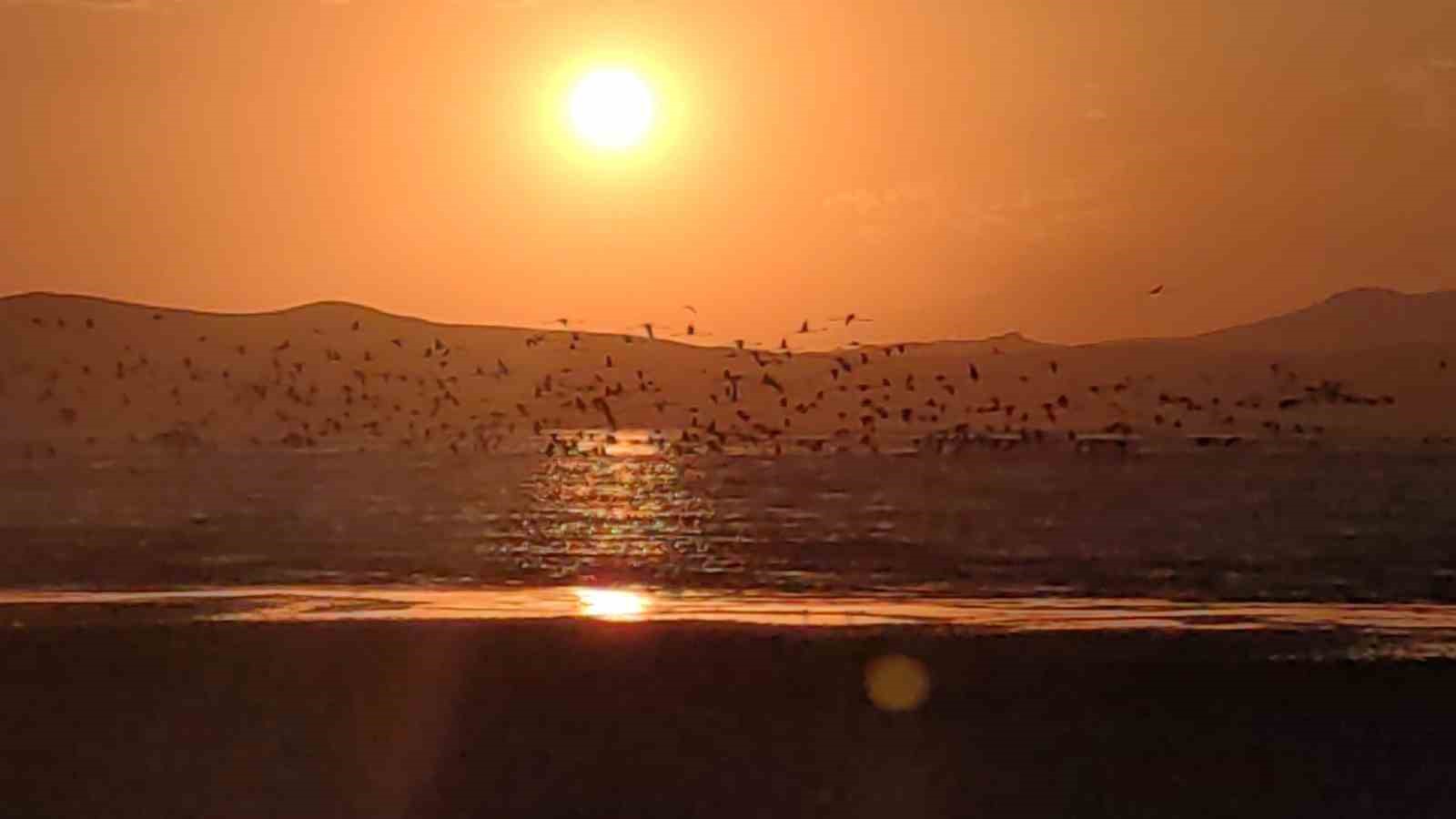 Güneşin kenti Van’da flamingolarla gün batımı