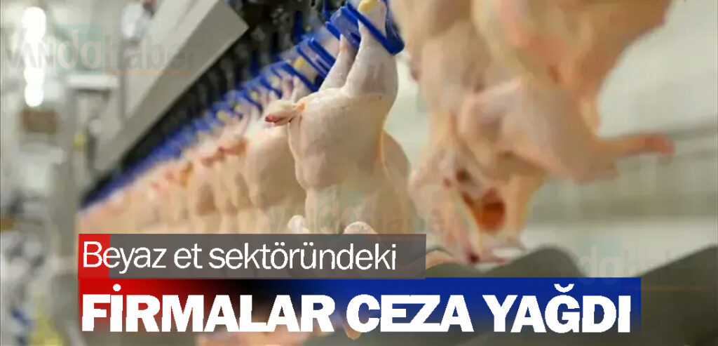 Beyaz et sektöründeki firmalar ceza yağdı