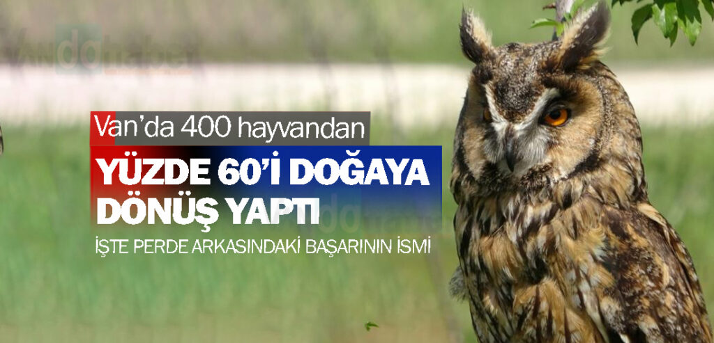 Van’da 400 hayvandan Yüzde 60’ı doğaya dönüş yaptı