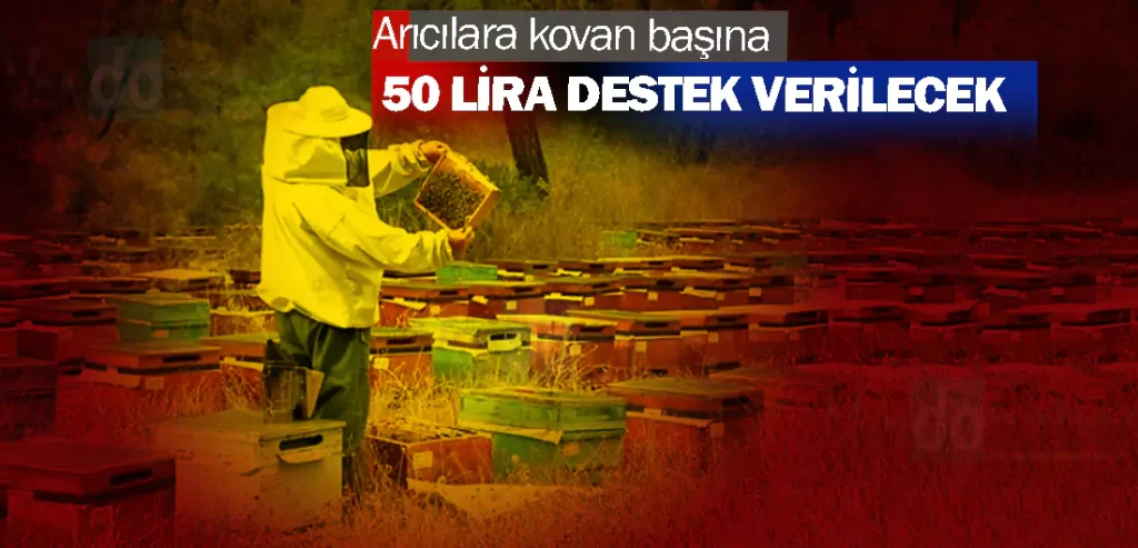 Arıcılara kovan başına 50 lira destek verilecek