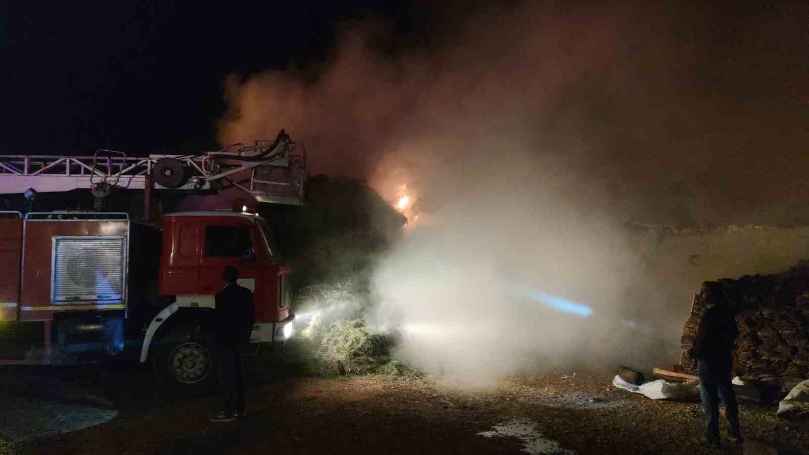 Van’da 5 bin bağ ot yanarak kül oldu