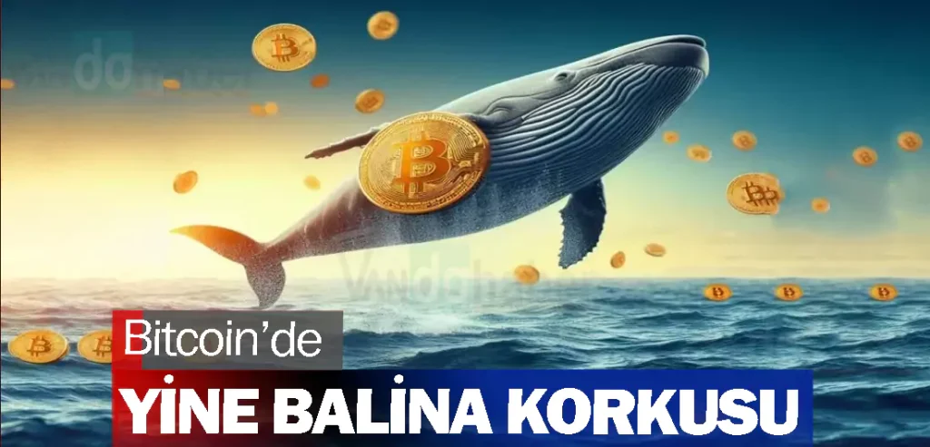 Bitcoin’de yine Balina korkusu