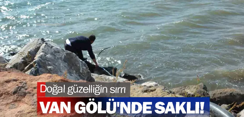 Doğal güzelliğin sırrı Van Gölü'nde saklı!