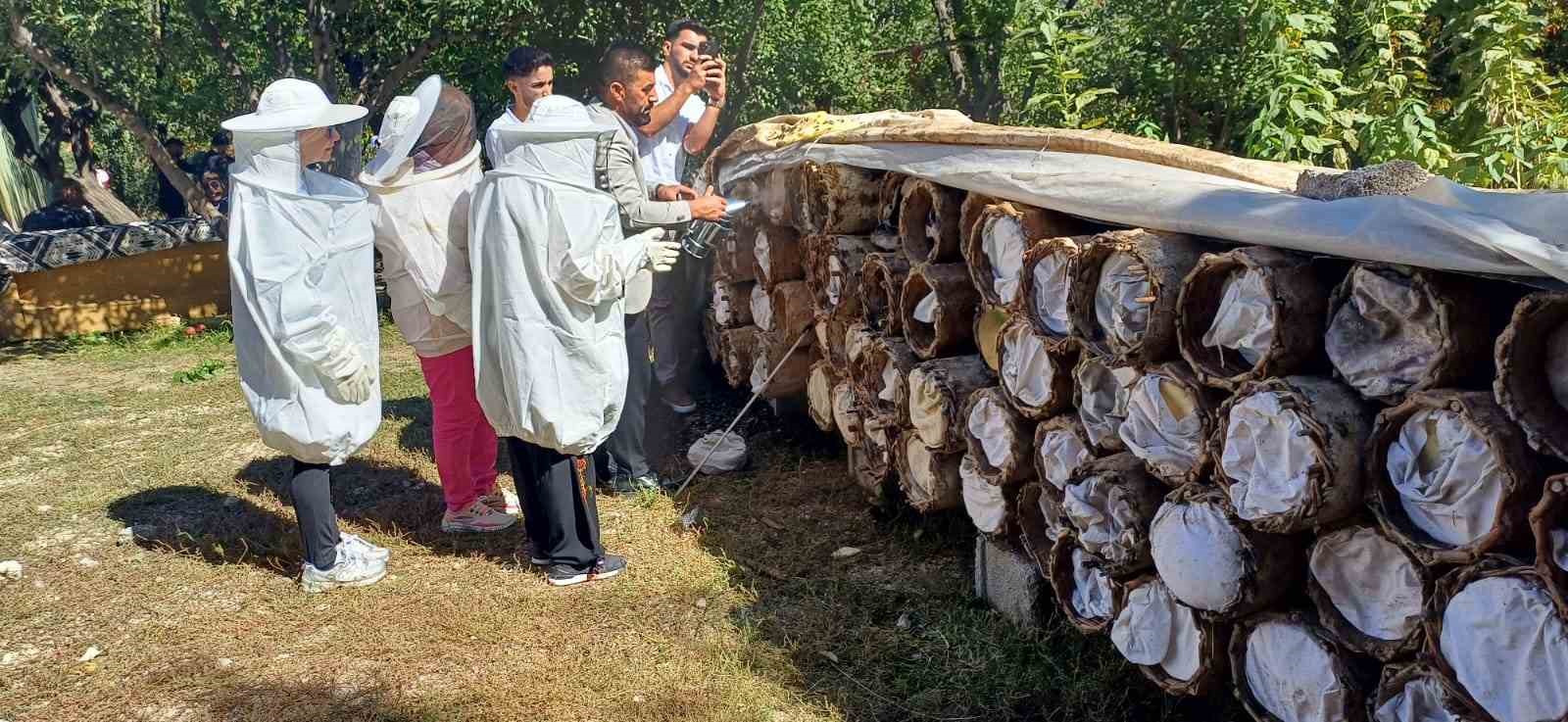 Yerli turistler Van’da bal hasadı yaptı