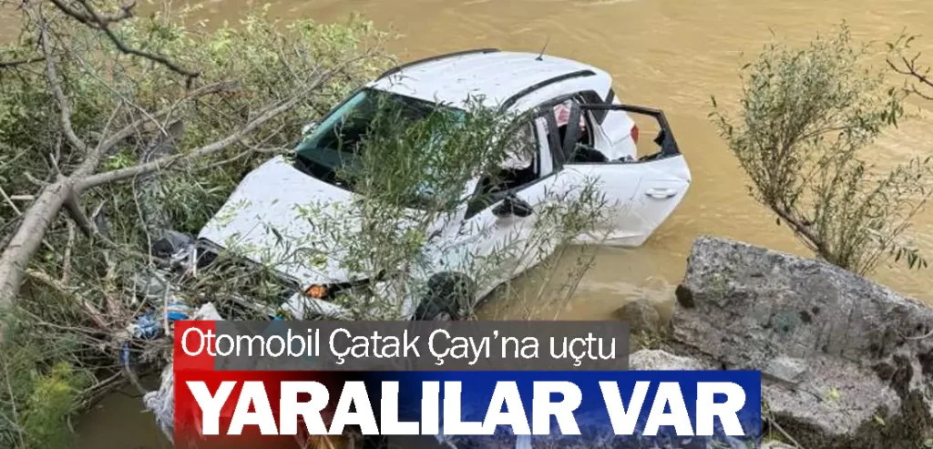 Otomobil Çatak Çayı’na uçtu: 3 yaralı