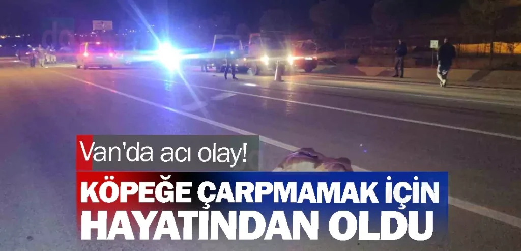 Van'da acı olay! Köpeğe çarpmamak için hayatından oldu