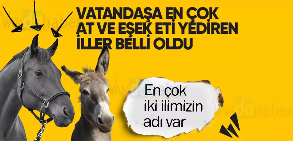 Vatandaşa en çok at ve eşek eti yedirdiği iki ilimiz