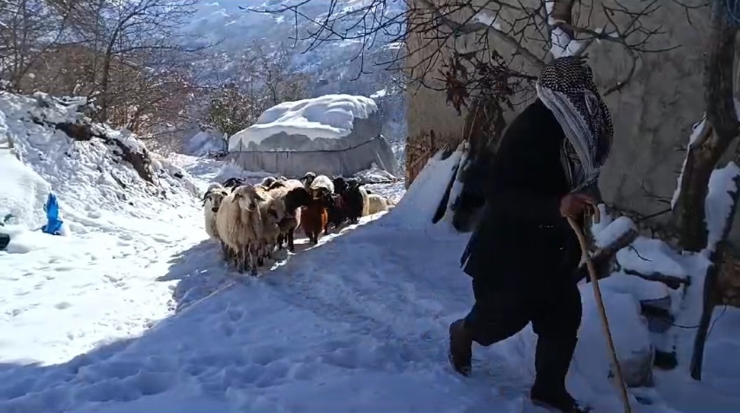 Bahçesaraylı vatandaşların zorlu kış mesaisi başladı