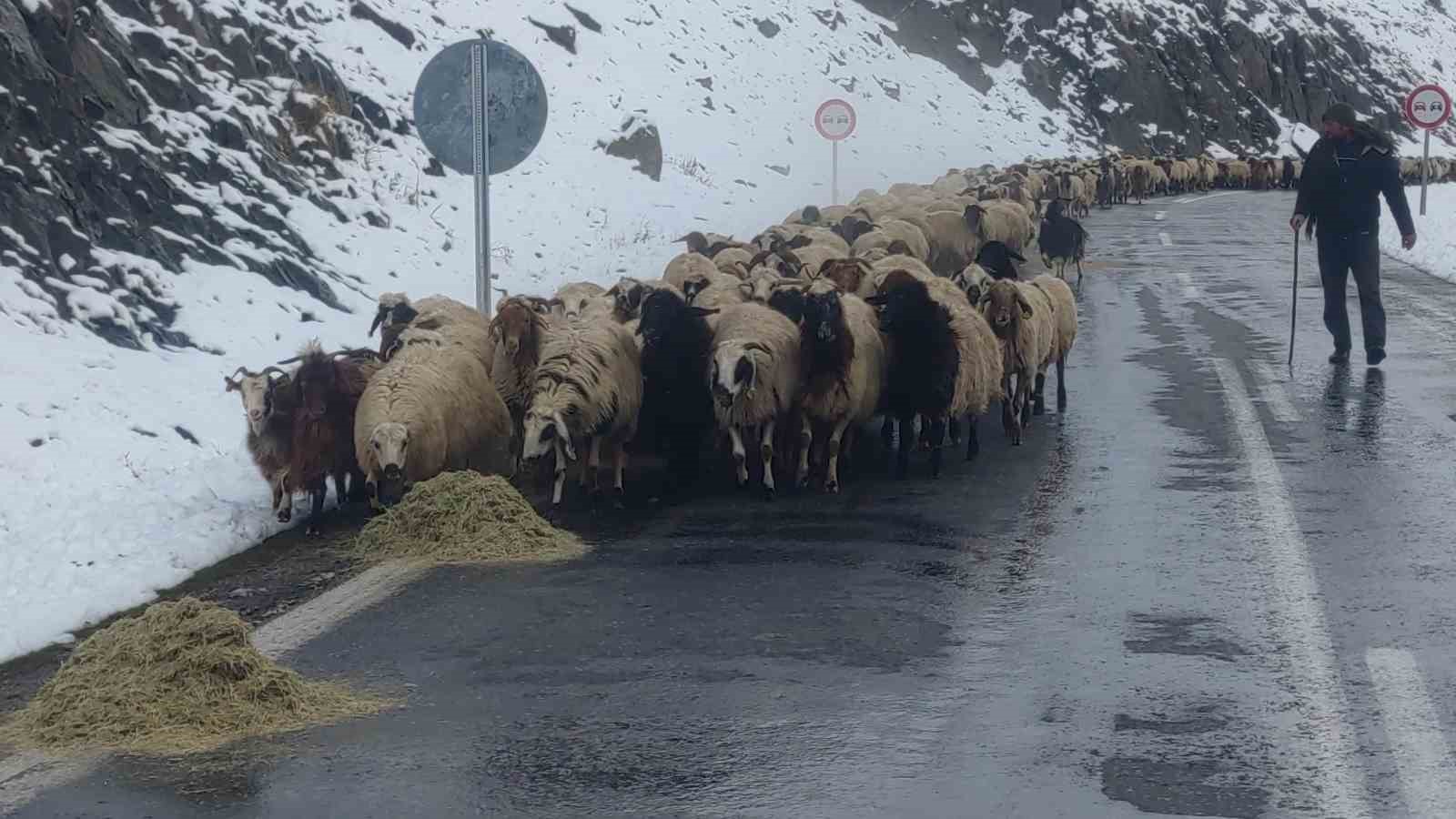 Van’da besicilerin zorlu kış mesaisi başladı