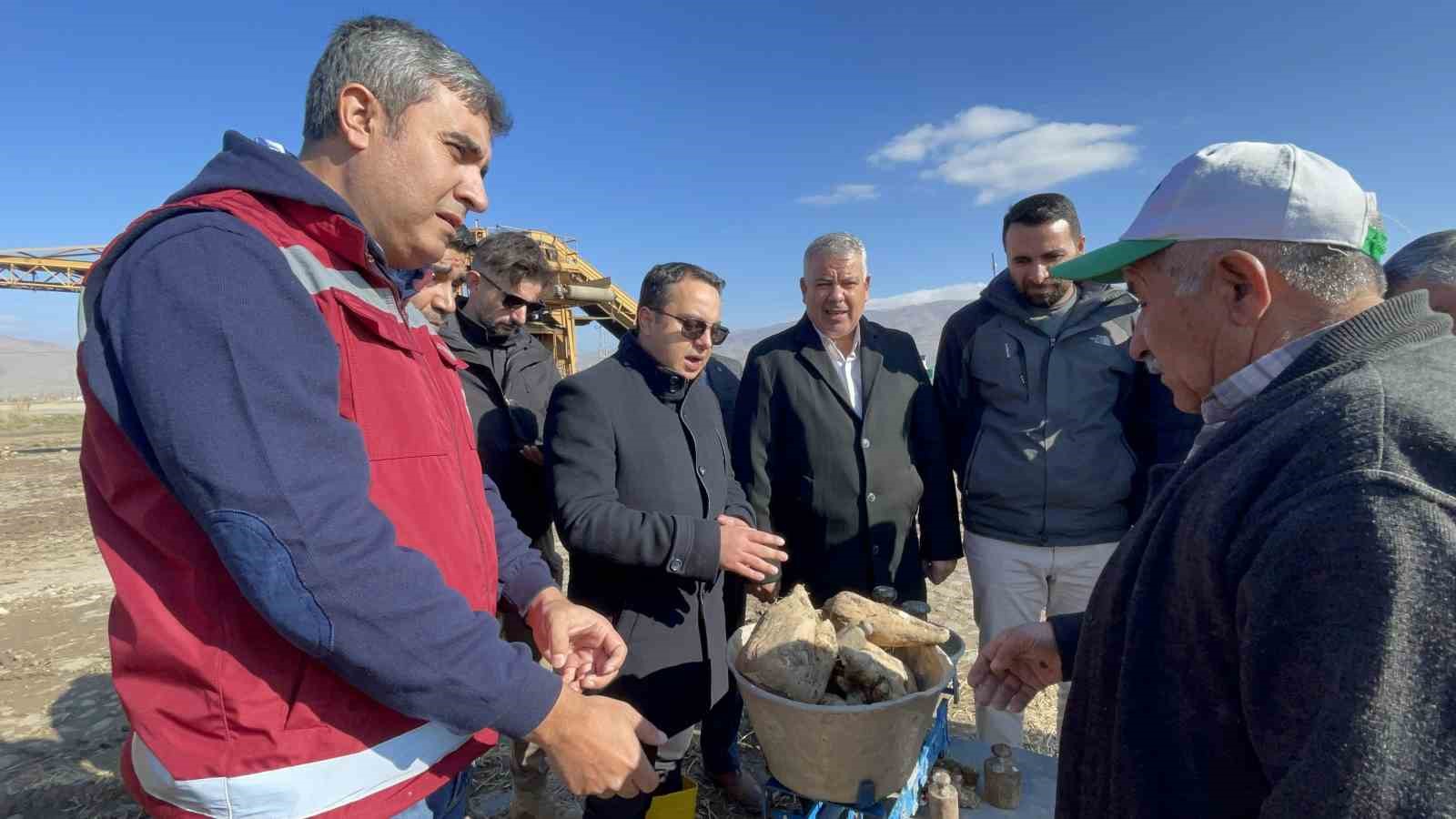 Muradiye’de şeker pancarı hasadı başladı