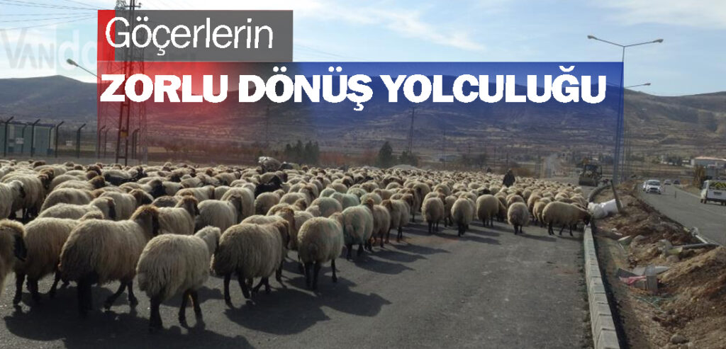 Göçerlerin zorlu dönüş yolculuğu  