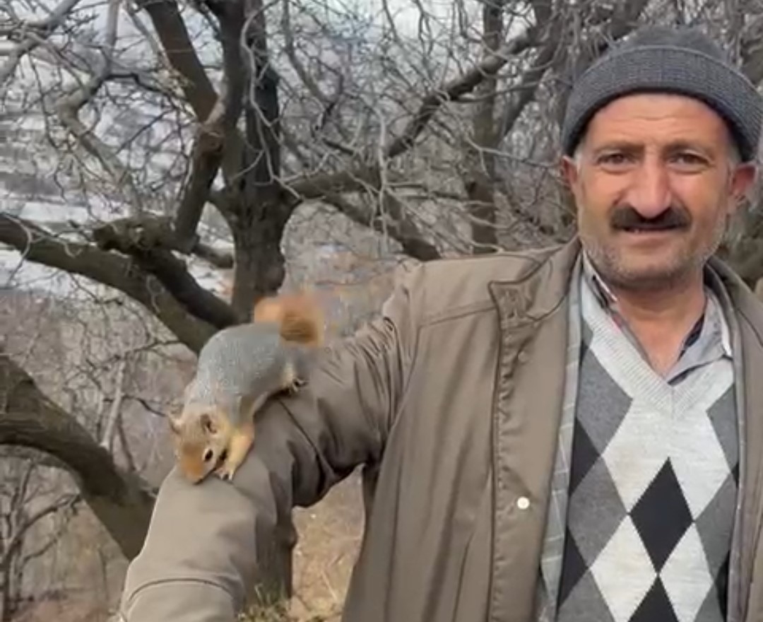 Bahçesaray’ın sevimli sincabı ilgi odağı oldu