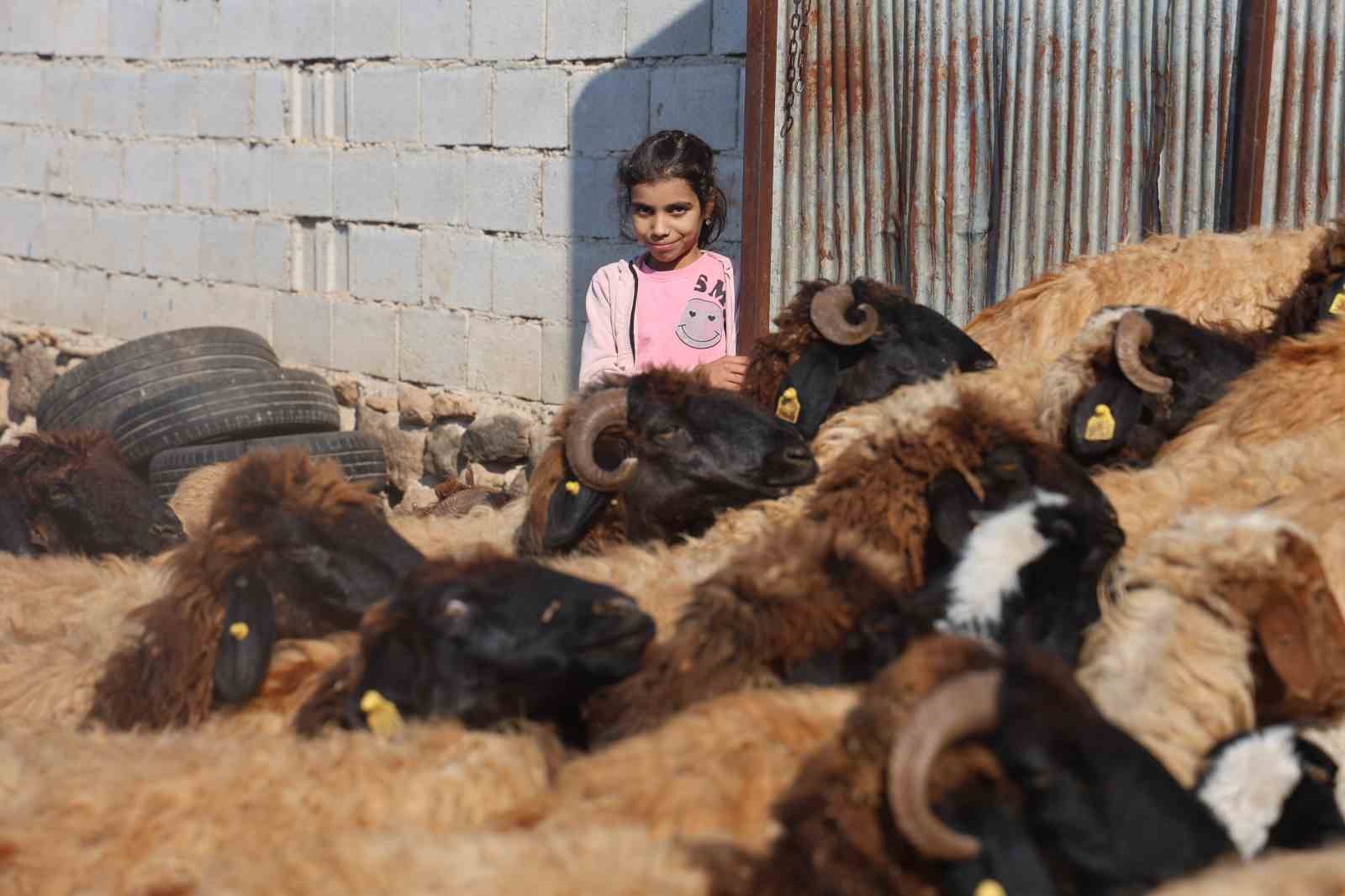 Öğrencilerine ödev olarak inek sağdıran ve kuzuları besleten Melahat öğretmenin öğrencilerinin 10 parmağında 10 marifet