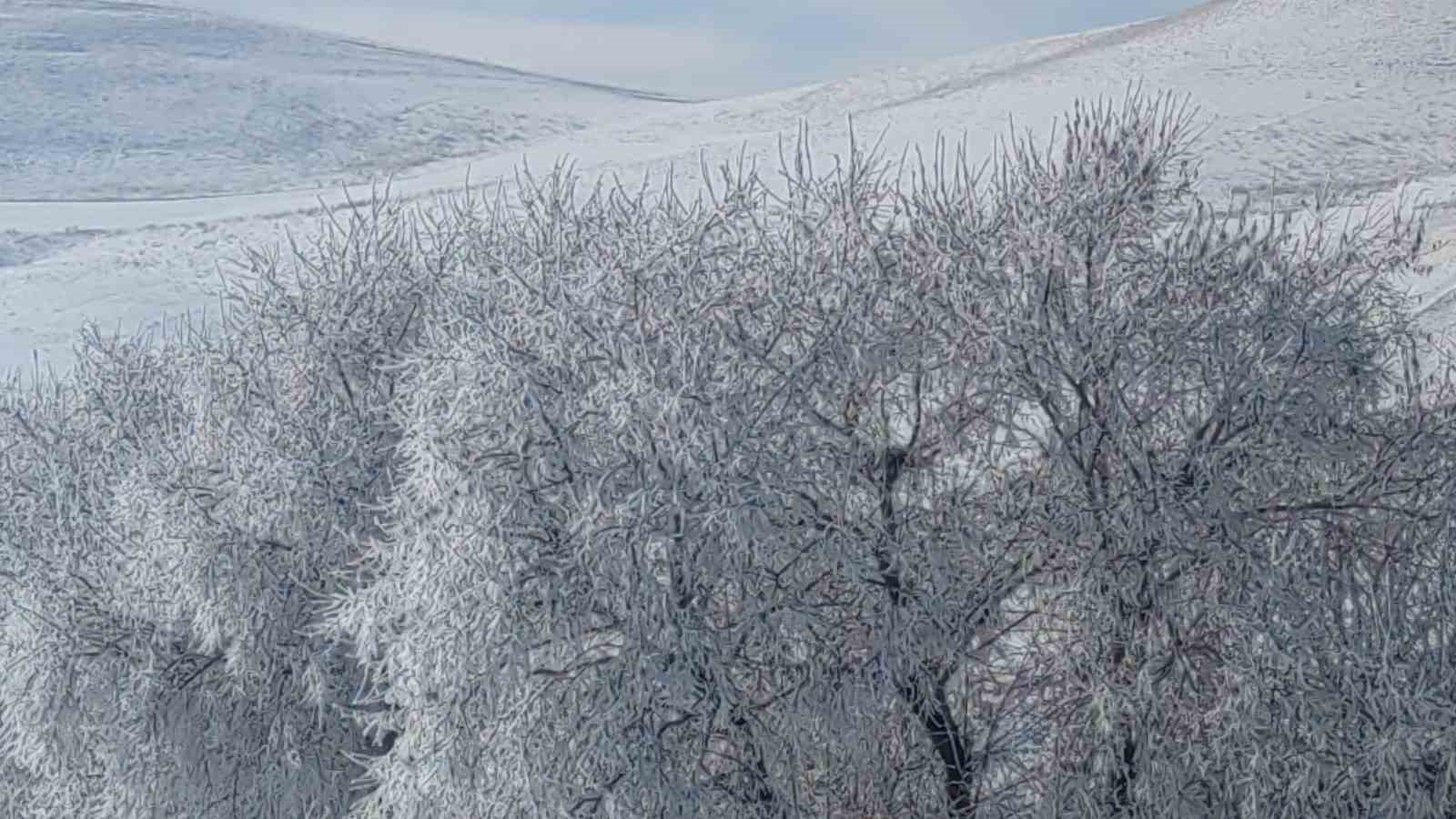 Özalp dondu ağaçlar kırağı tuttu