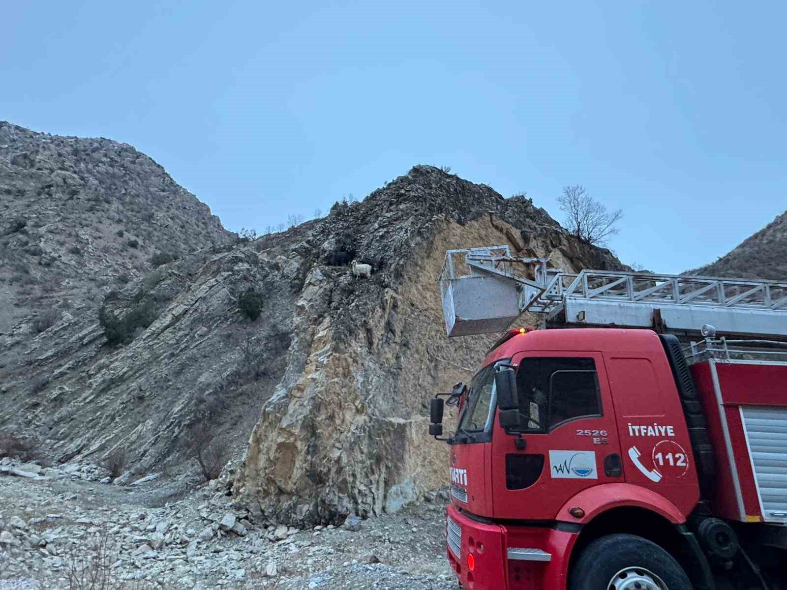 Kayalıklarda mahsur kalan 4 keçiyi itfaiye kurtardı