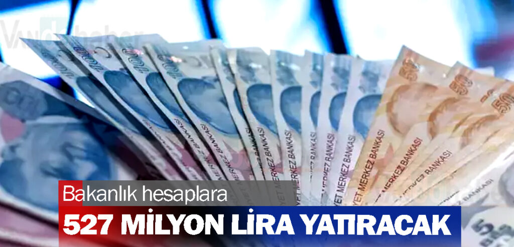 Bakanlık hesaplara 527 milyon lira yatıracak