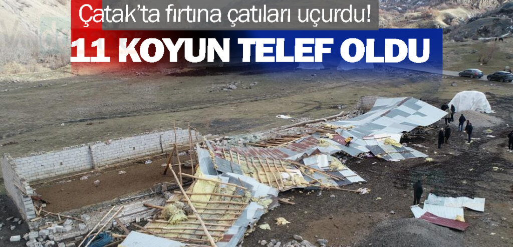 Çatak’ta fırtına çatıları uçurdu! 11 koyun telef oldu