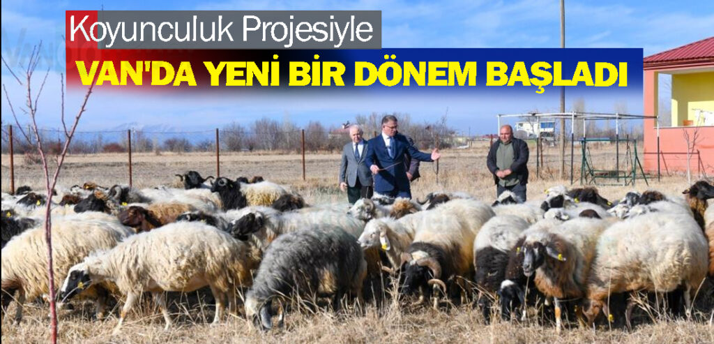 Koyunculuk Projesiyle Van'da Yeni Bir Dönem Başladı