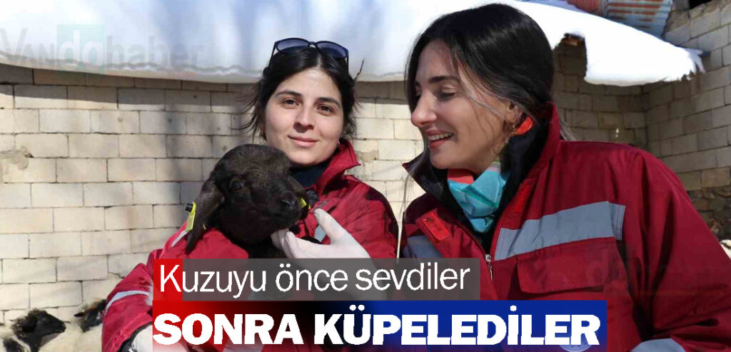 Kuzuyu önce sevdiler sonra küpelediler