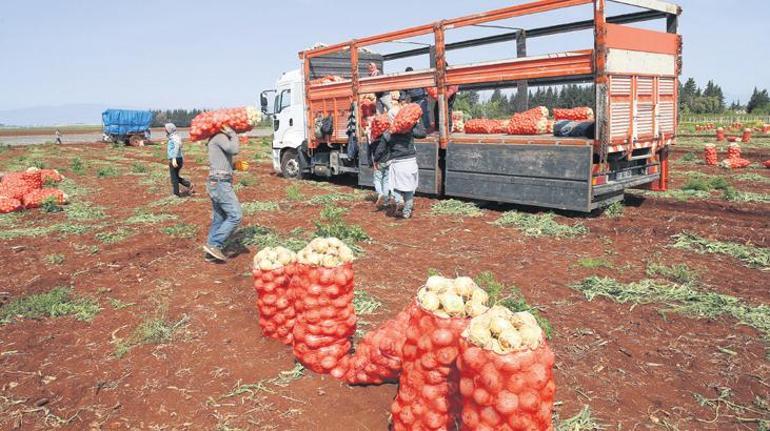 10 adımda asgari ücret etkisi! 2025 yılında çalışma hayatında neler değişecek?