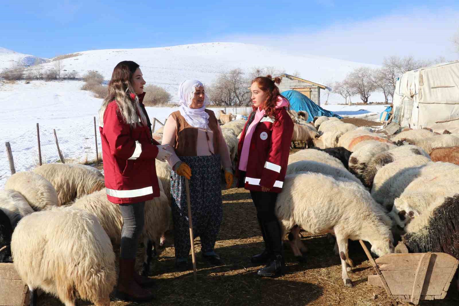 Hayvancılığa kadın eli değdi