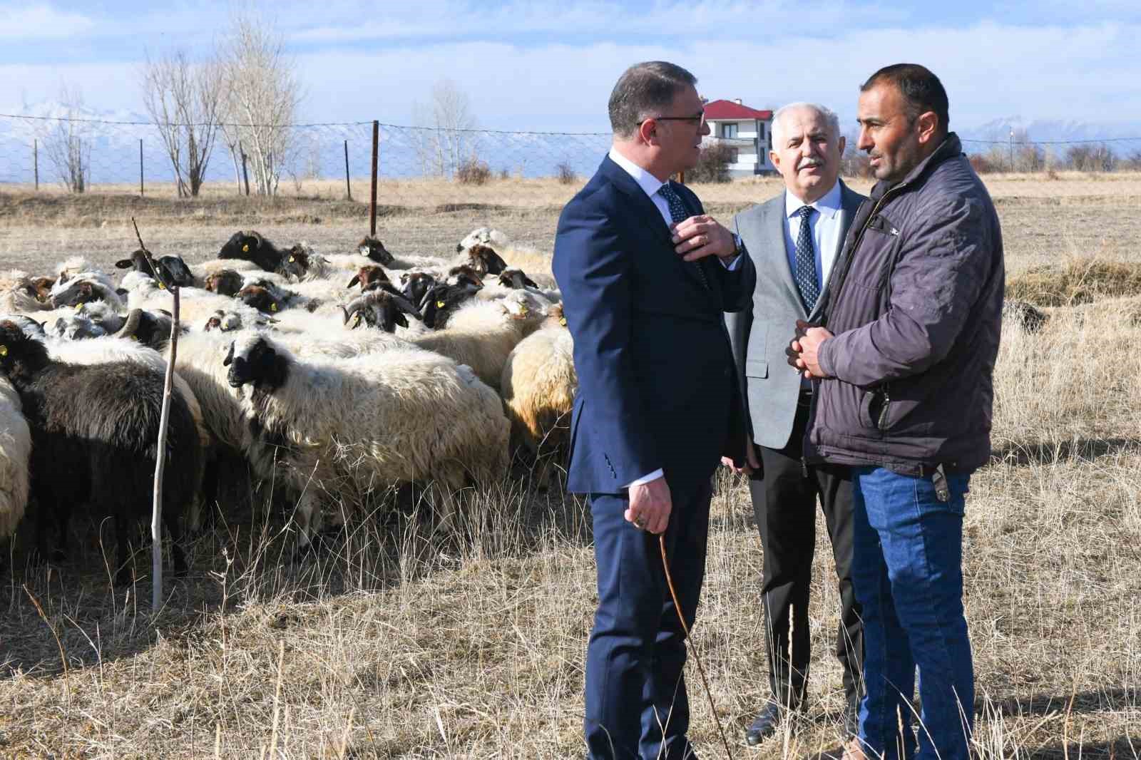 Van’da koyunculuk projesi başarıyla devam ediyor