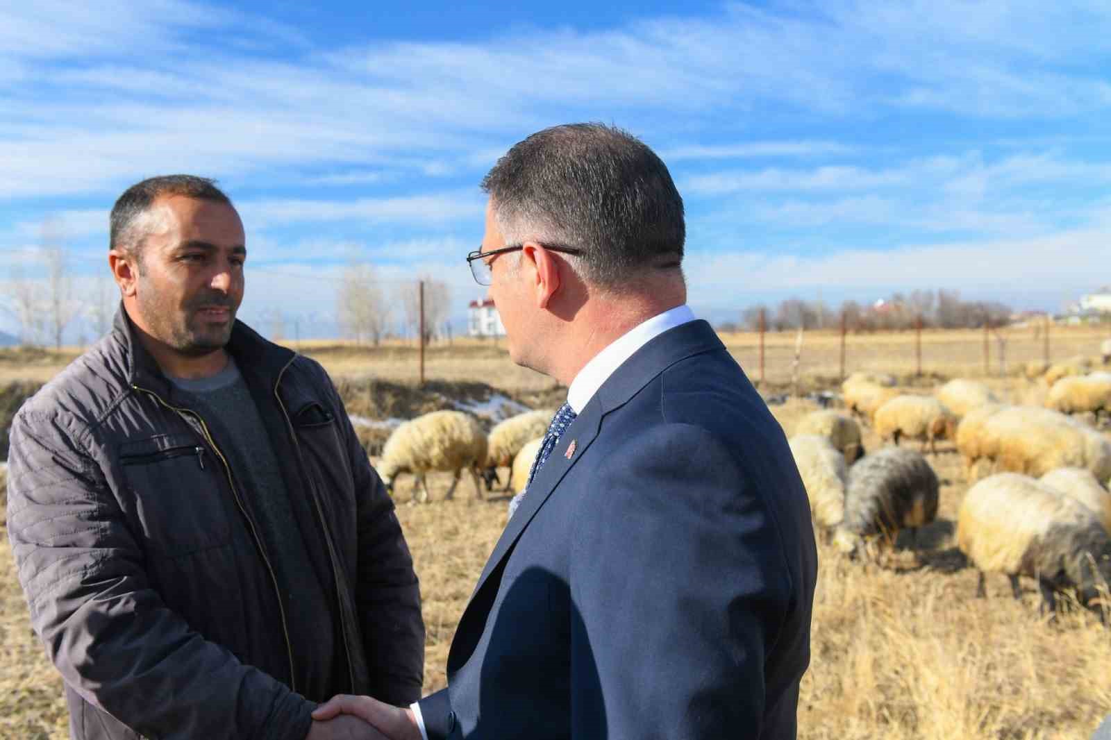 Van’da koyunculuk projesi başarıyla devam ediyor