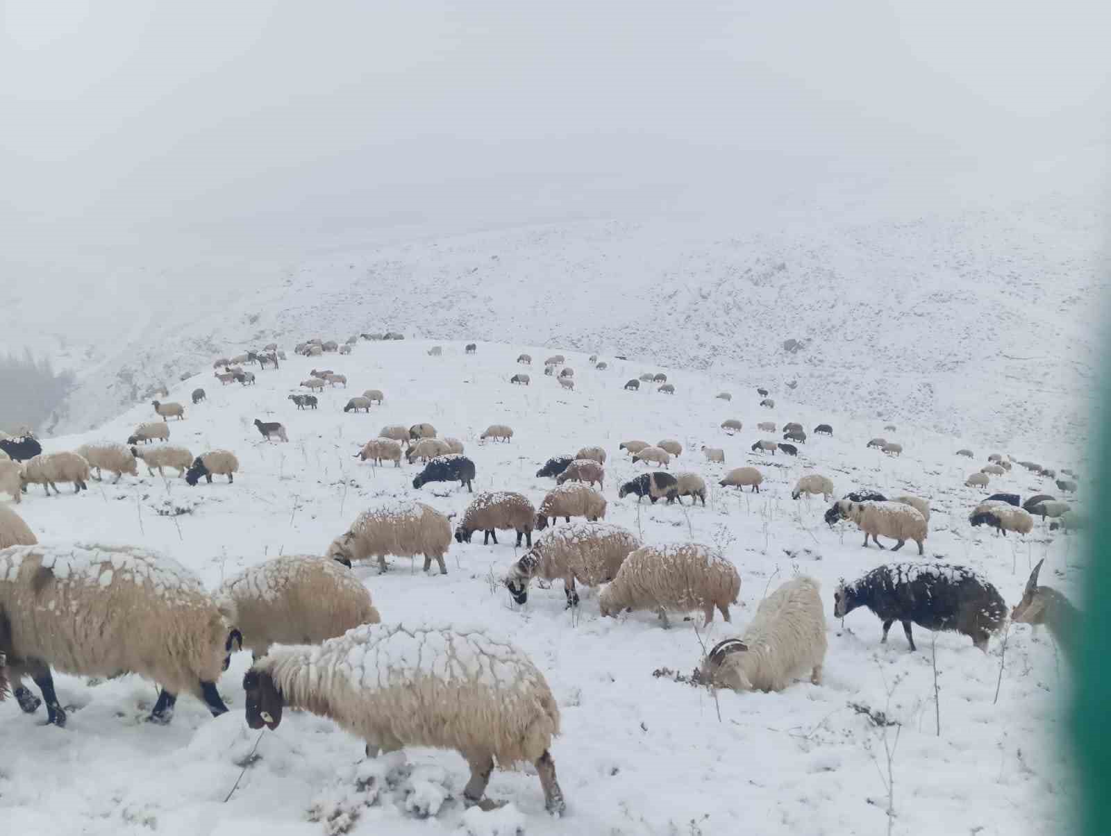 Başkale’de kar aniden bastırdı, sürücüler zor anlar yaşadı