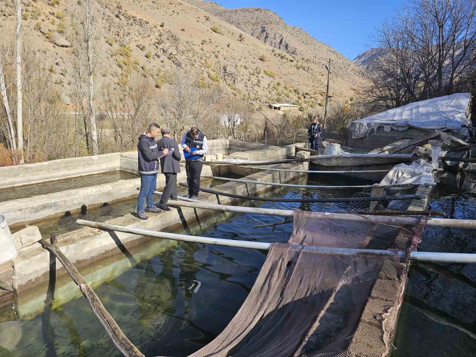 Van’da su samurları görüntülendi