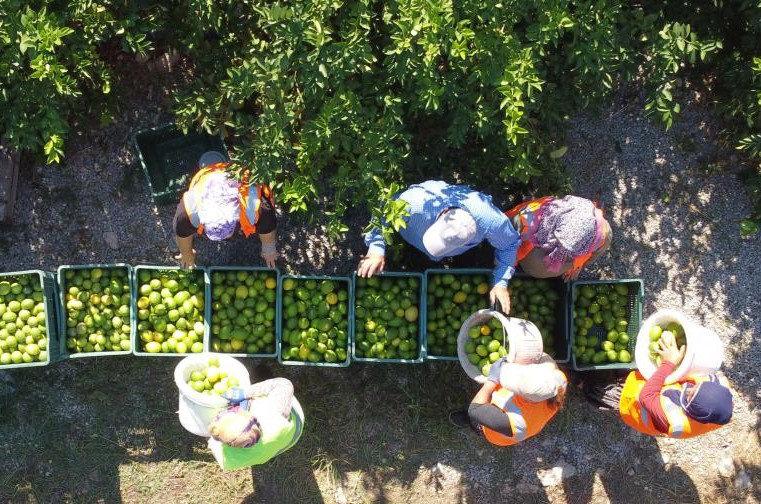 Marketlerde yeni dönem! Bu ürünlerin satışı yasaklandı, artık raflarda olmayacak