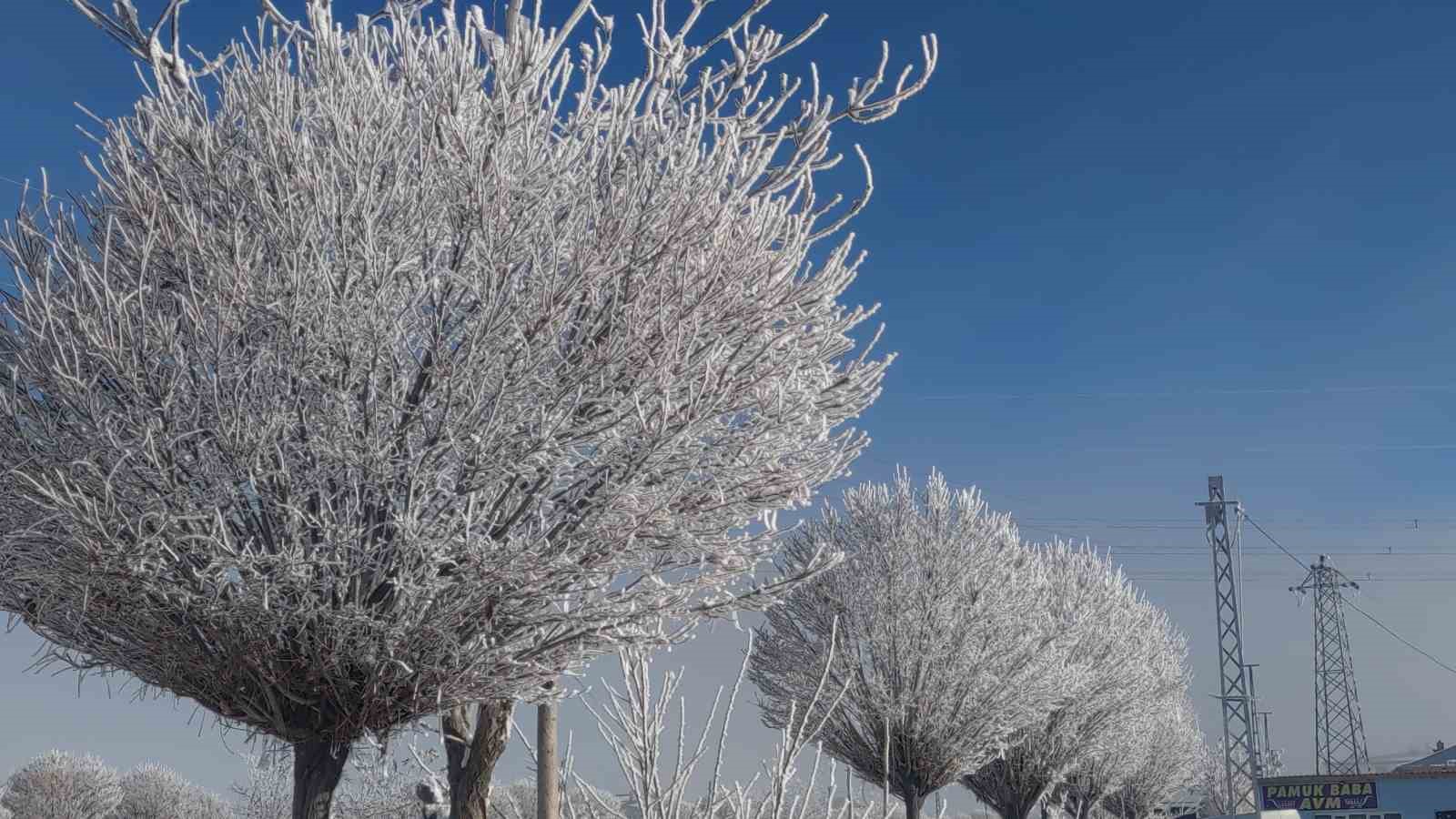 Van’da sis ulaşımı olumsuz etkiledi