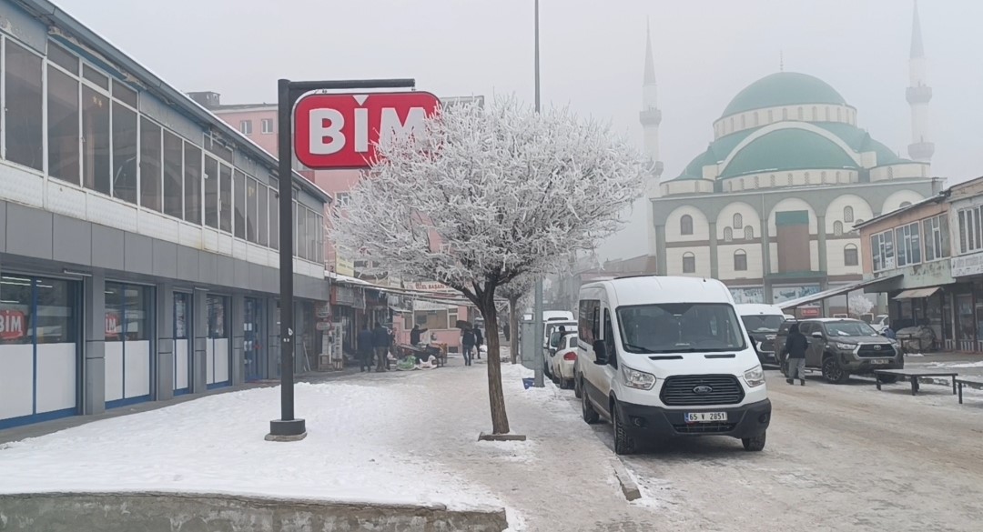 Özalp dondu, ağaçlar kırağı tuttu