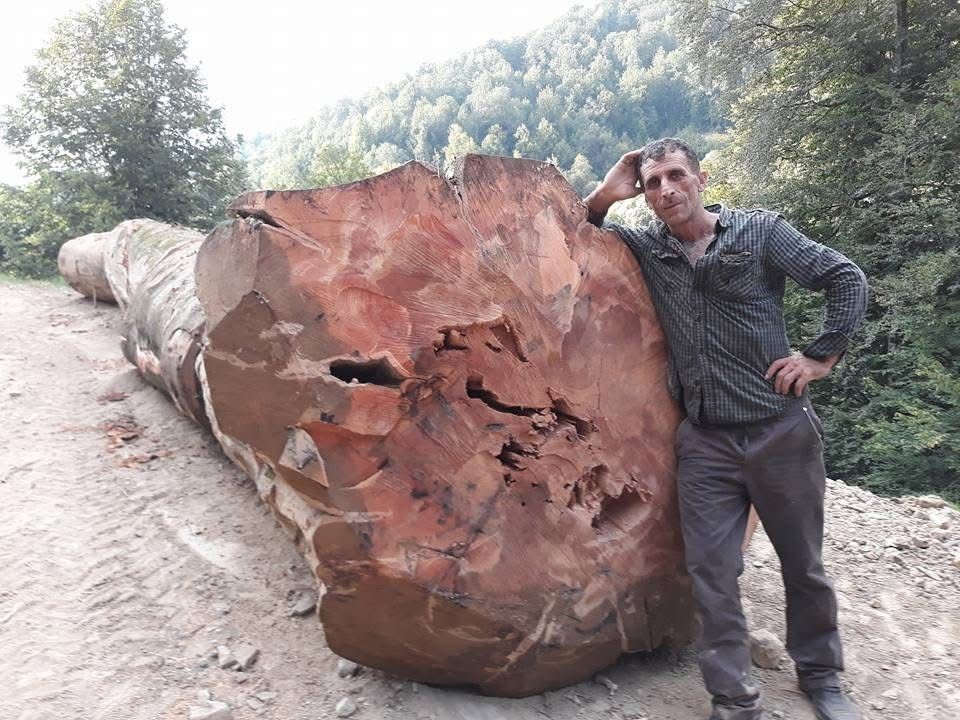 Kestiği ağacın altında kalarak ölen işçi Bartın’da toprağa verildi