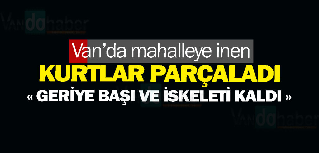 Van’da mahalleye inen kurtlar parçaladı