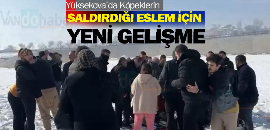 Yüksekova’da Köpeklerin Saldırdığı Eslem İçin Yeni Gelişme