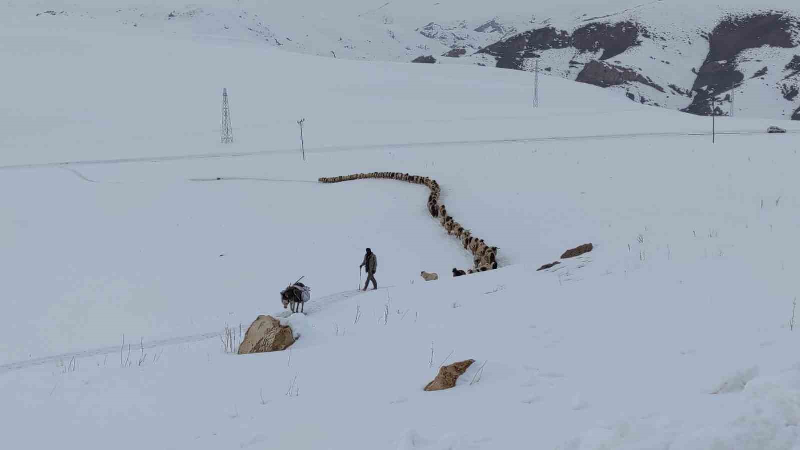 Van’da besicilerin kış mesaisi sürüyor