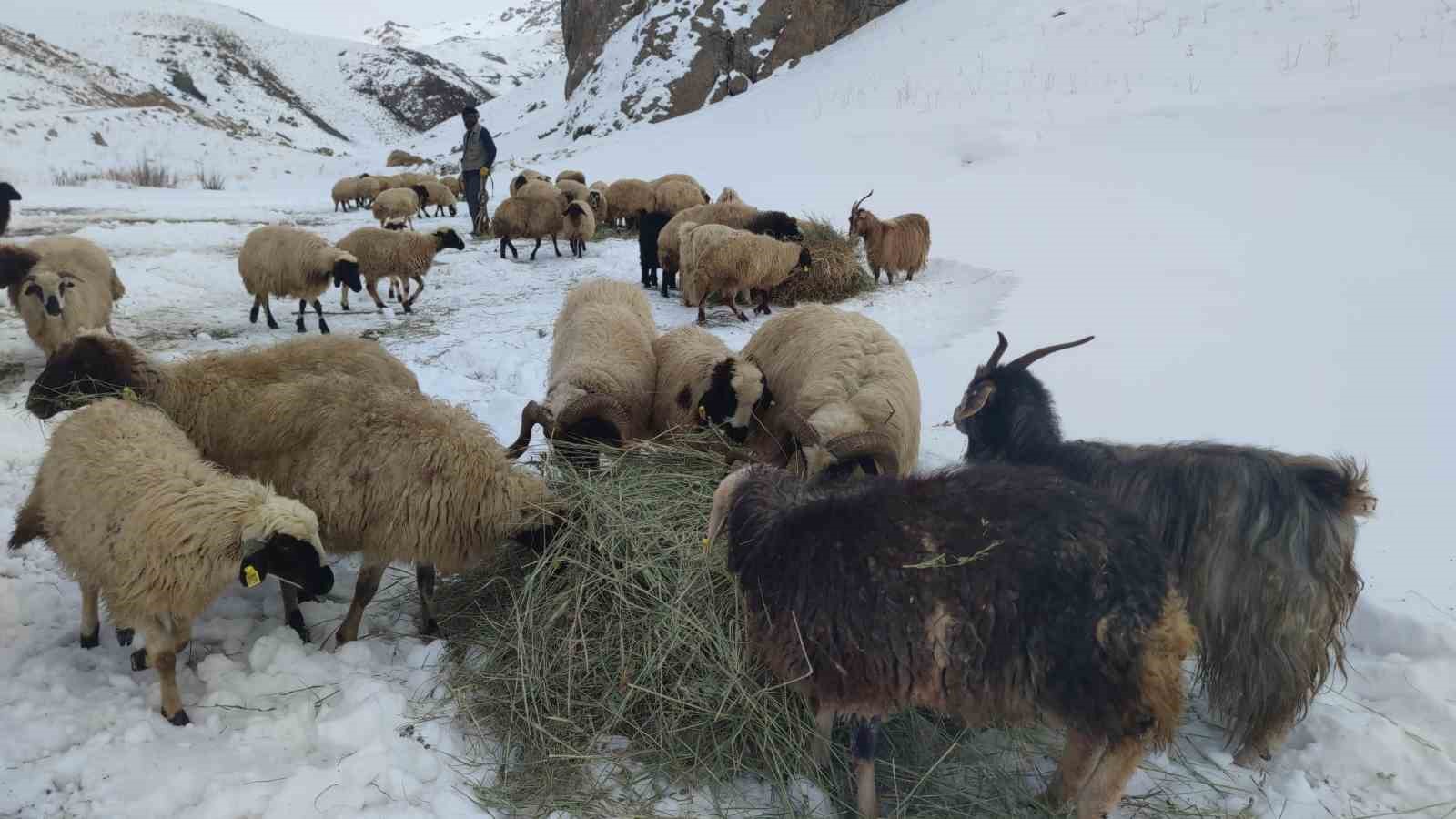 Van’da besicilerin kış mesaisi sürüyor