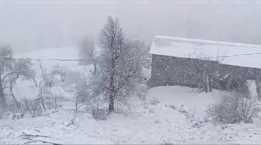 Van’da kar yağışı yüksek kesimlerde etkili oldu