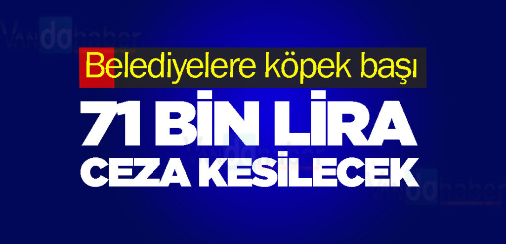 Belediyelere köpek başı 71 Bin Lira Ceza Kesilecek