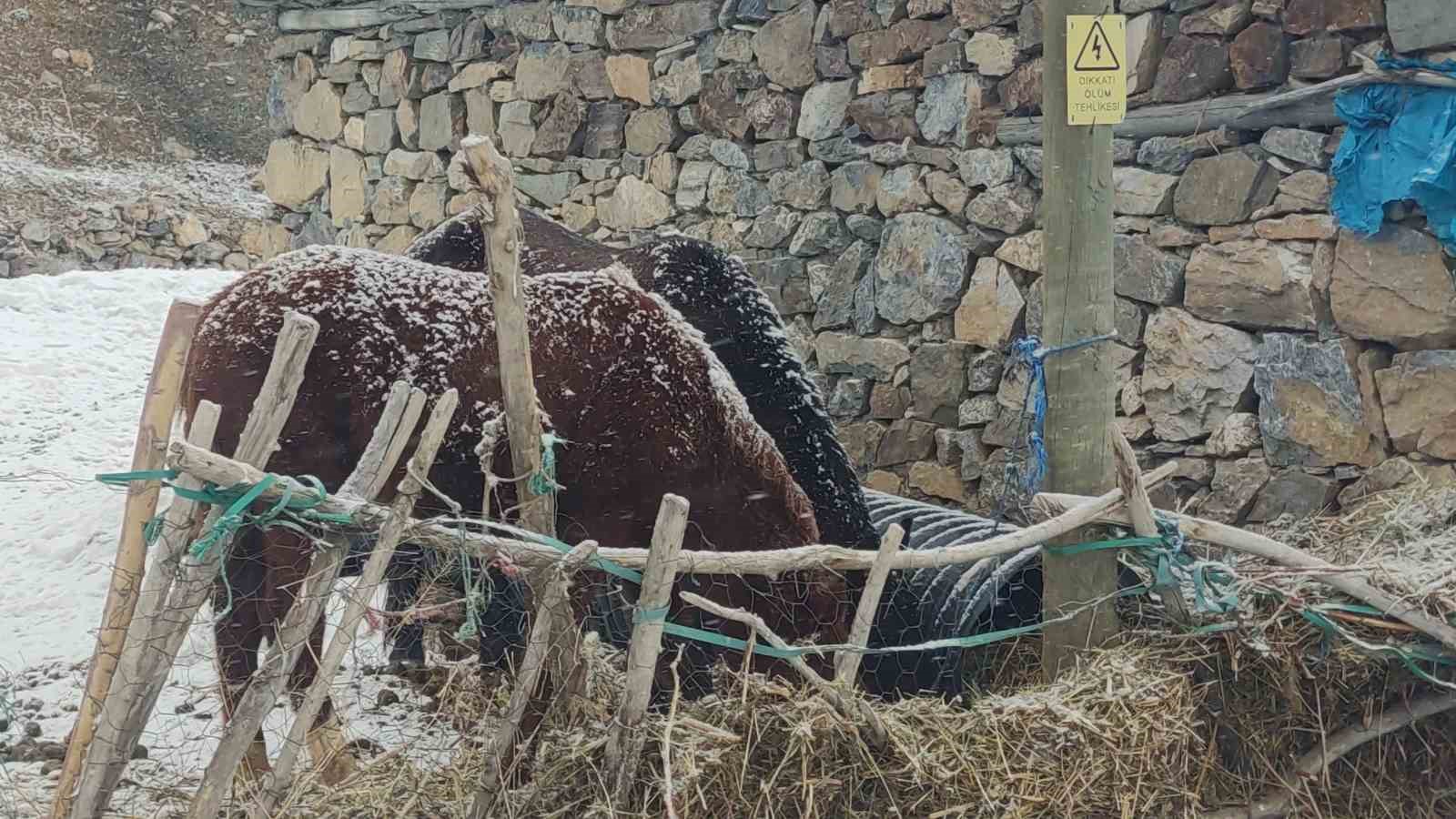 Van’da kar yağışı etkili oldu