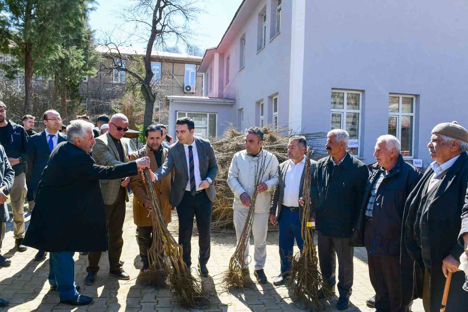 Çatak’ta çiftçilere yüzde 80 hibe ile fidan dağıtımı yapıldı