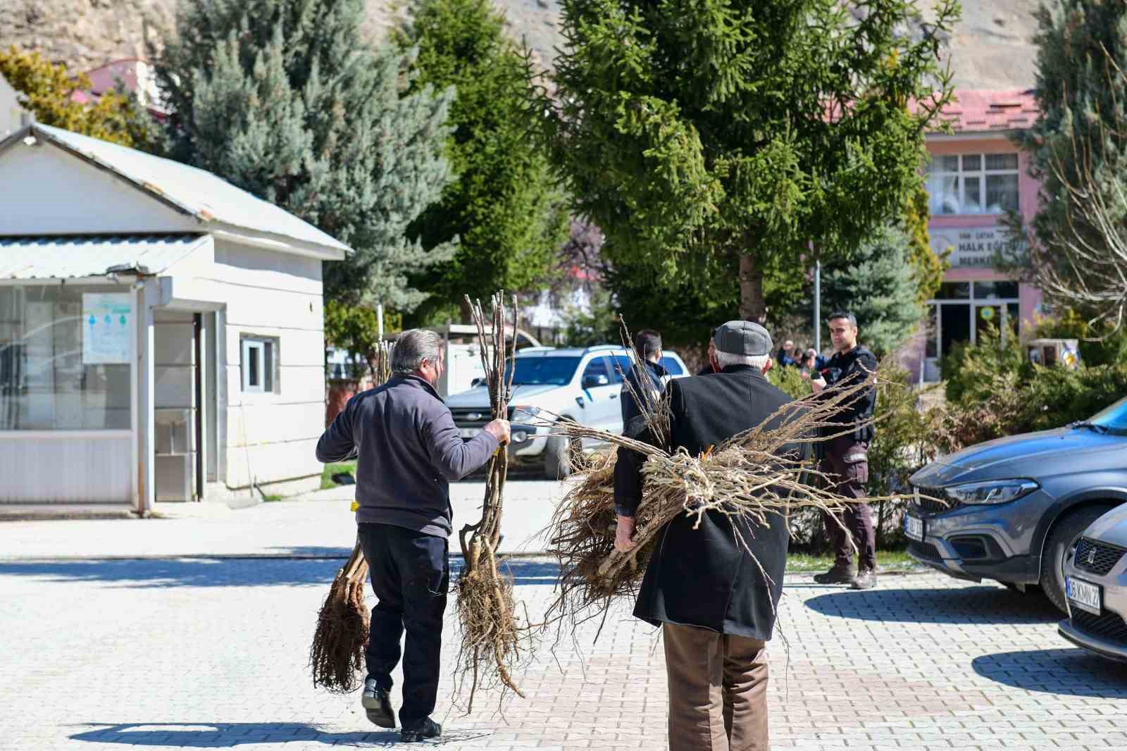 Çatak’ta çiftçilere yüzde 80 hibe ile fidan dağıtımı yapıldı