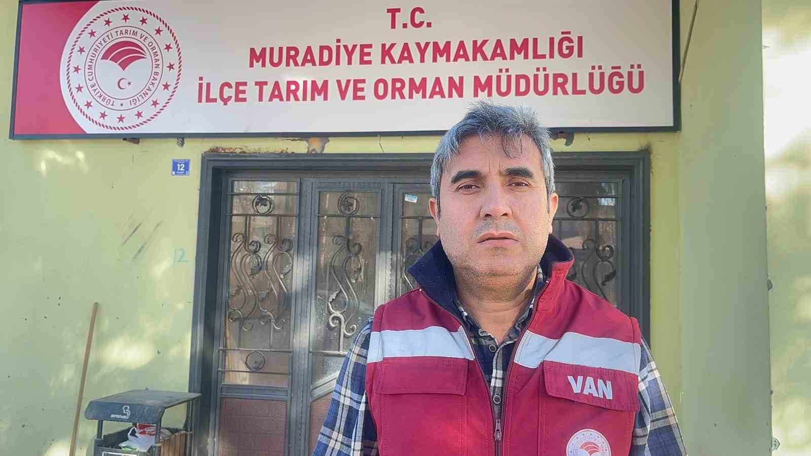 Van’da bulunan yaralı baykuş koruma altına alındı