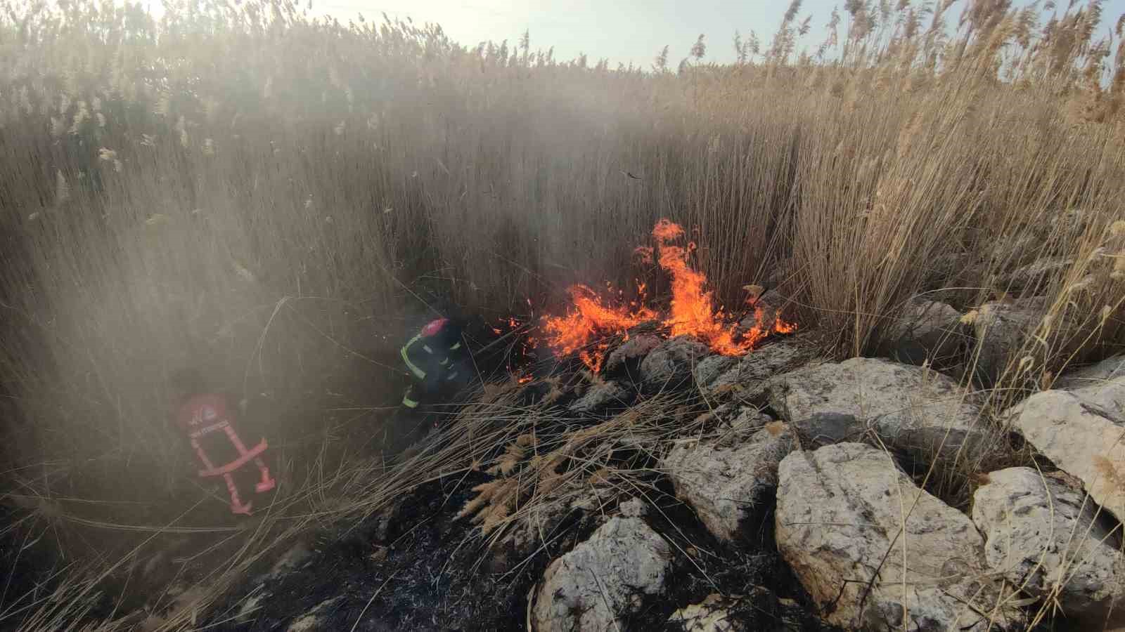 Van’da sazlık alanda yangın