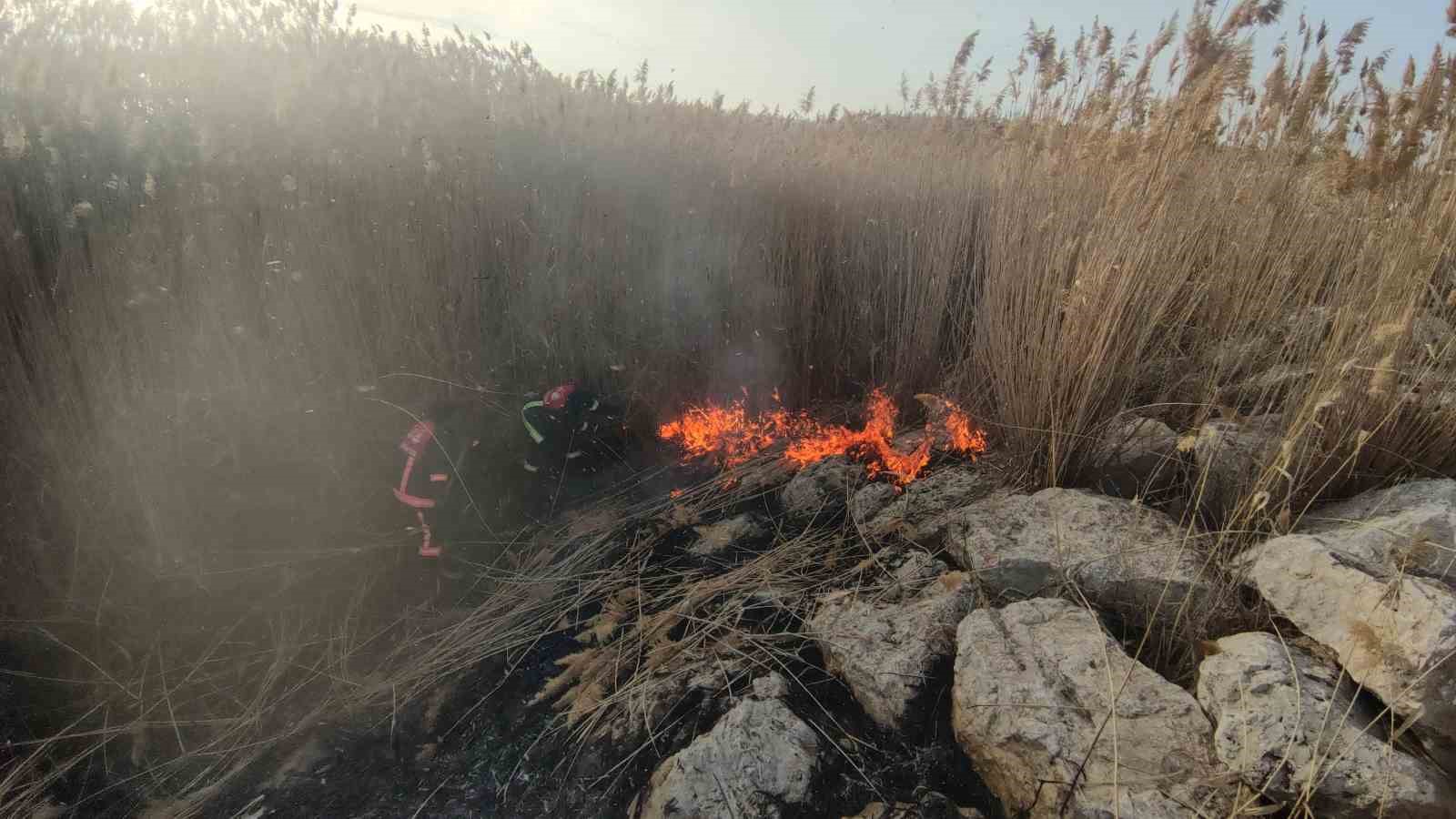 Van’da sazlık alanda yangın