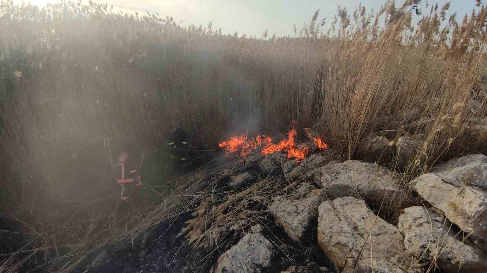 Van’da sazlık alanda yangın